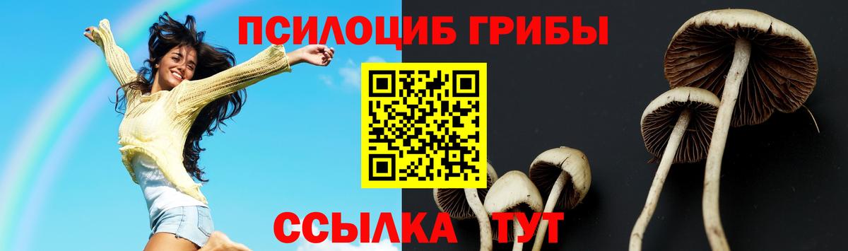 Псилоцибиновые грибы GOLDEN TEACHER Псков