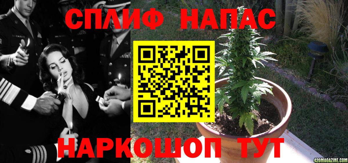 Бошки Шишки ГИДРОПОН Псков